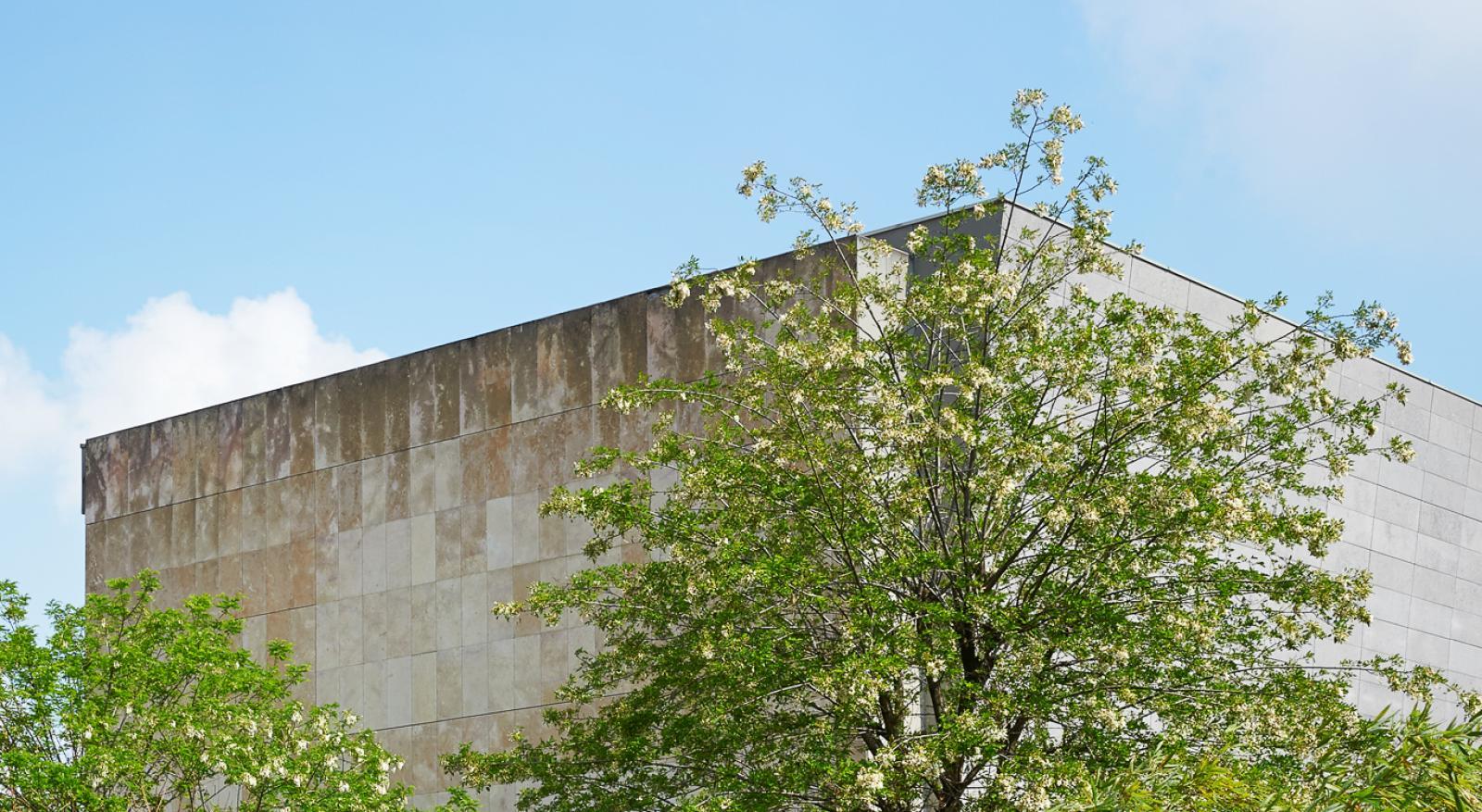 Actu_BD?Ferrante-Ferranti_CNSMDP_2015-16_Architecture.jpg