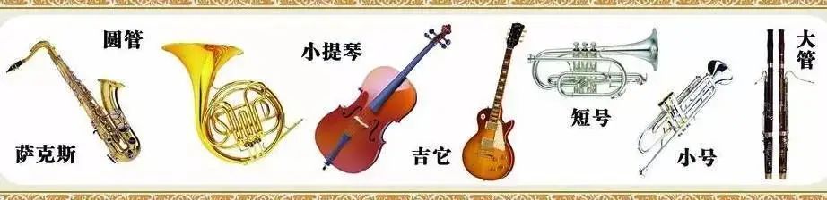中央音樂學院副院長周海宏：每個人一生，至少要學一件樂器_慧禾國際藝術教育